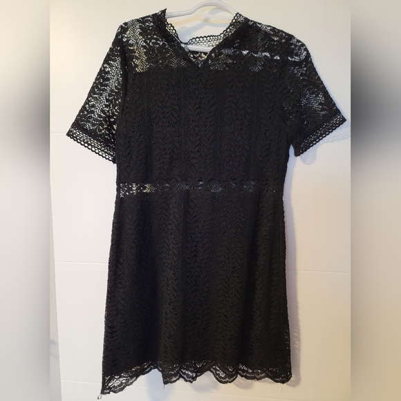 Mini Black Lace Minkpink Dress - Picture 3 of 4